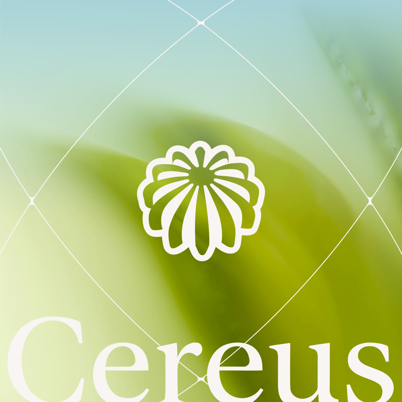 Cereus